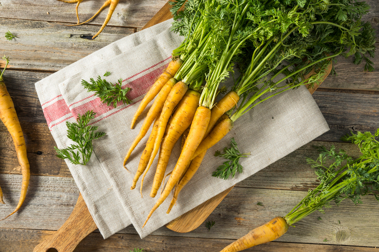 CARROT 'Solar Yellow' seeds