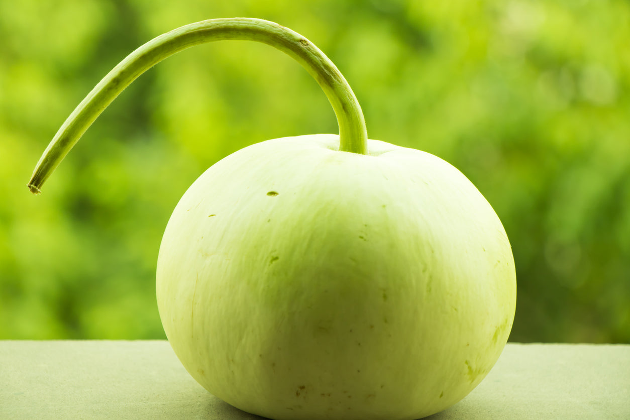 GOURD 'Kobu' / Round Gourd seeds