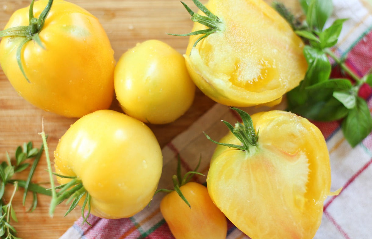 TOMATO 'Yellow Oxheart' seeds