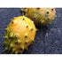 CUCUMBER 'African Horned' / Kiwano / Jelly Melon - Boondie Seeds