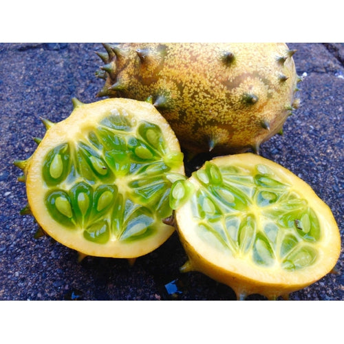 CUCUMBER 'African Horned' / Kiwano / Jelly Melon - Boondie Seeds