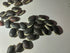 BEAN INDIAN / LABLAB / HYACINTH 'Purple Flowered' seeds