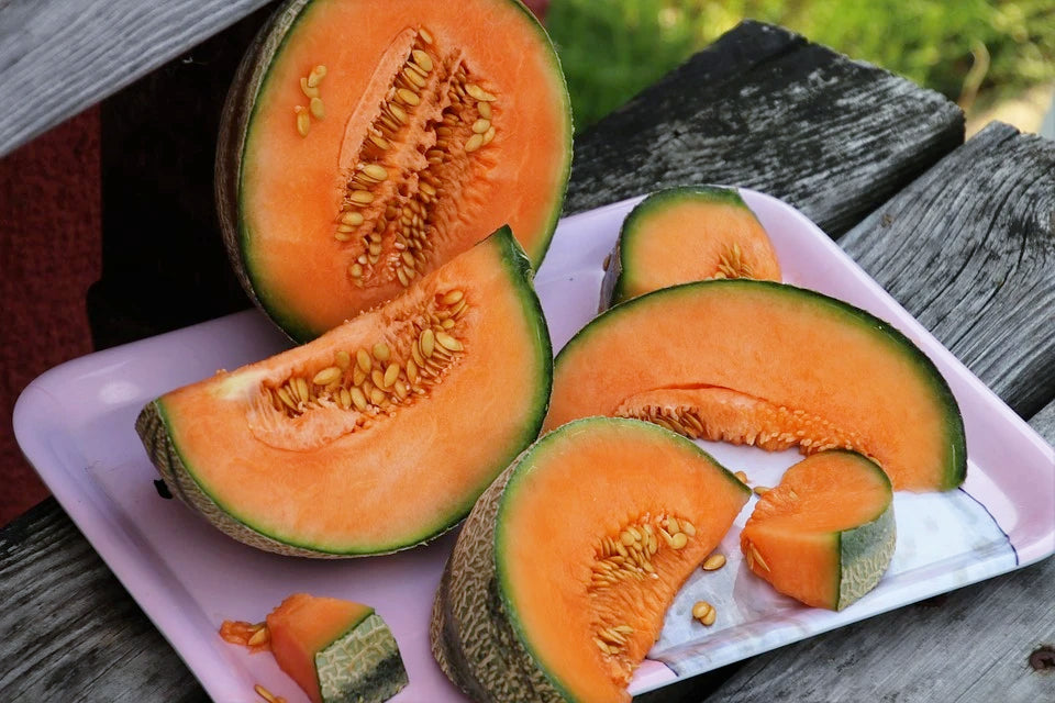 ROCKMELON 'Hales Best' *ORGANIC* seeds