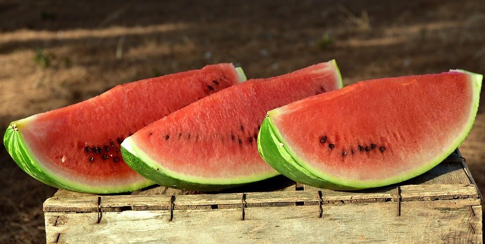 WATERMELON 'Bush Jubilee' seeds