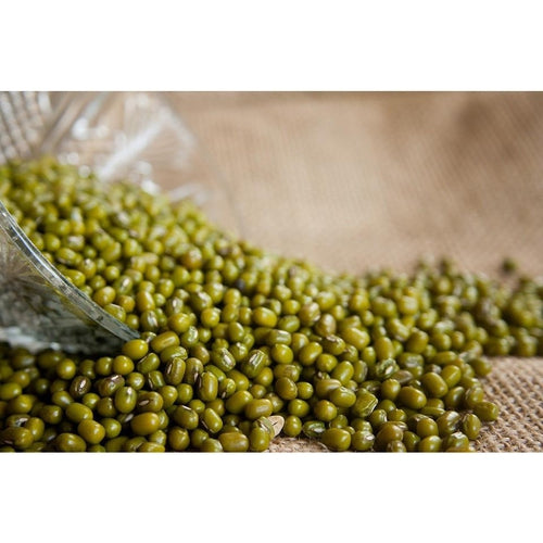 MUNG BEAN - Boondie Seeds