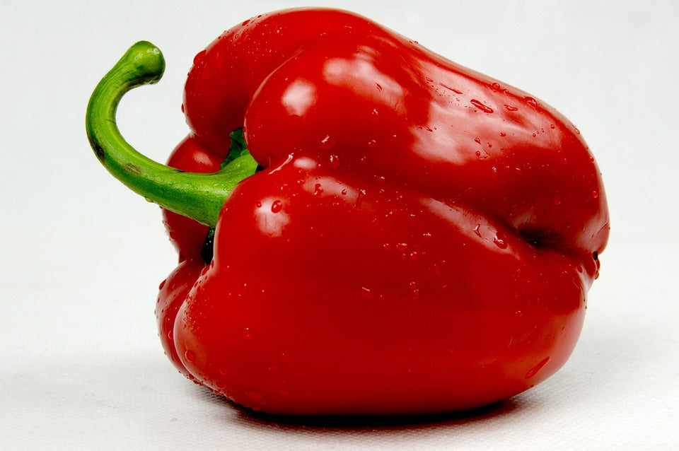 CAPSICUM 'Californian Wonder Red' *ORGANIC* seeds