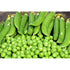 PEA 'Massey Gem' /Shelling - Boondie Seeds