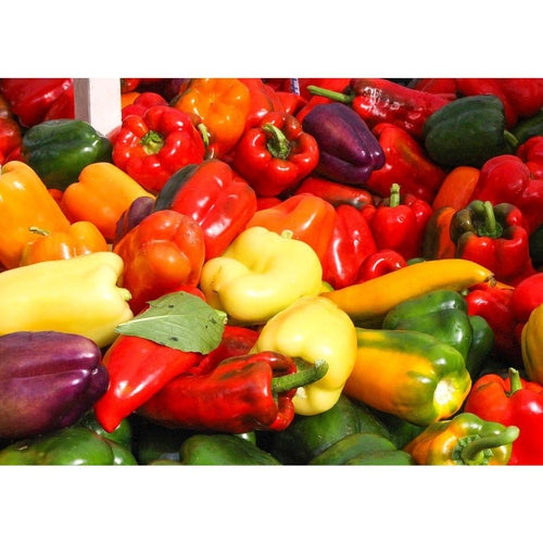 CAPSICUM 'Heirloom Mix' - Boondie Seeds