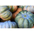 PUMPKIN 'Musquee De Provence' - Boondie Seeds