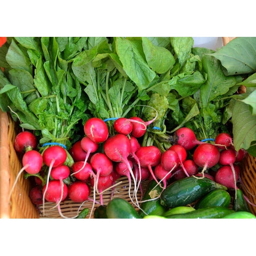 RADISH 'Cherry Belle' seeds