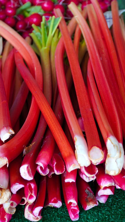 RHUBARB 'Crimson' seeds