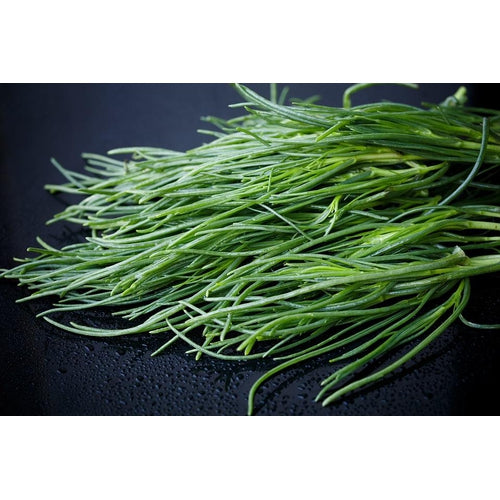 SALTWORT / Okahijiki / Land Seaweed - Boondie Seeds