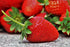 STRAWBERRY 'Rainbow Treasure' seeds