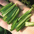 ASPARAGUS PEA / WINGED PEA Tetragonolobus purpureus seeds