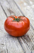 TOMATO 'Silvery Fir Tree' *DWARF VARIETY* seeds