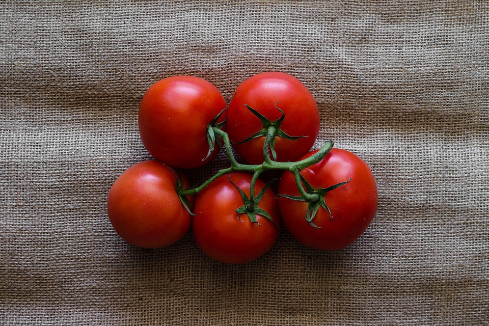 TOMATO 'Strobelee' *DWARF VARIETY* seeds