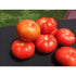 TOMATO 'Beefsteak' - Boondie Seeds