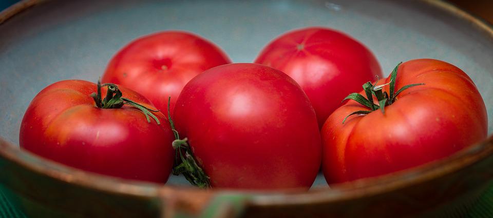 TOMATO 'Grosse Lisse' seeds