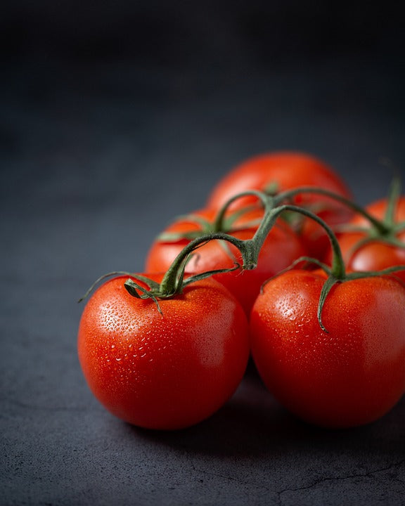 TOMATO 'Campbell 33 / Mighty Red' seeds