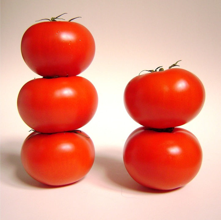 TOMATO 'KY1' *DWARF VARIETY* seeds