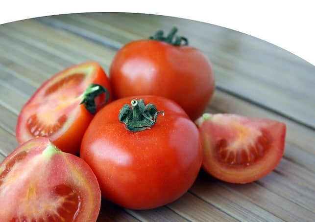 TOMATO 'Oregon Spring' seeds *COLD TOLERANT*