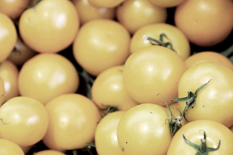 TOMATO 'White Cherry' seeds