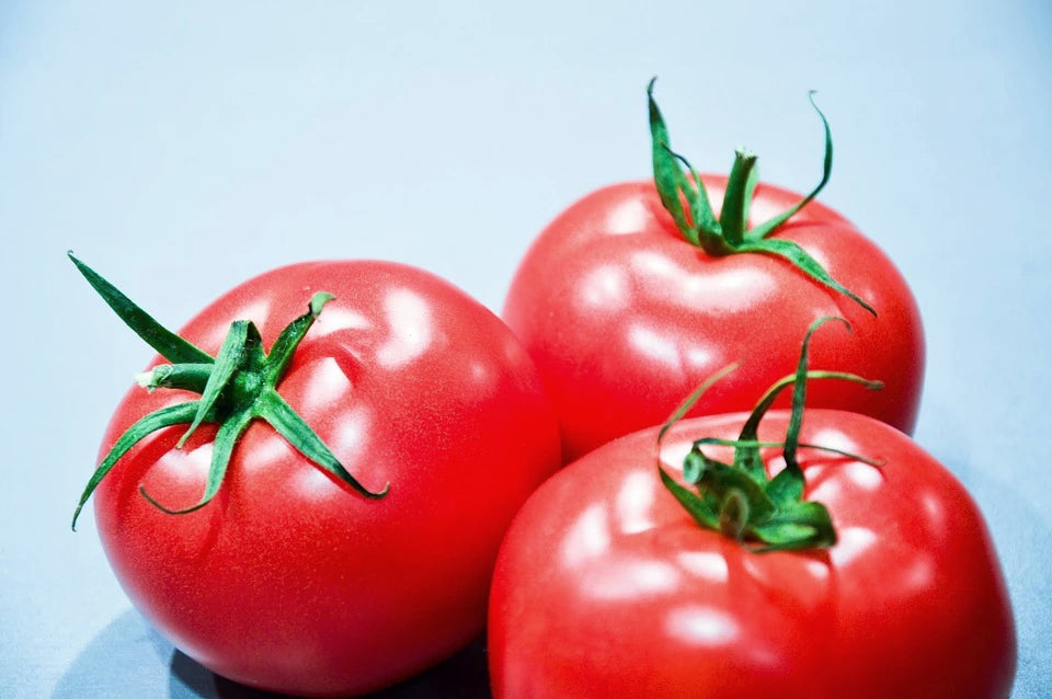 TOMATO 'Daydream' seeds