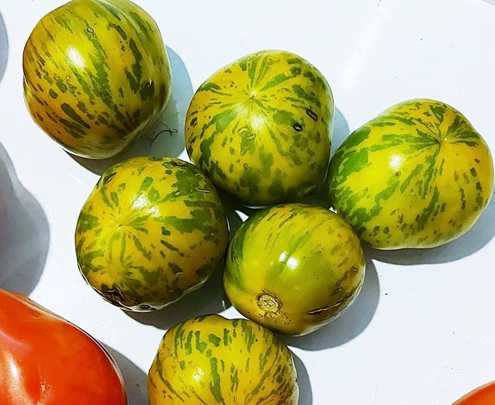 TOMATO 'Green Zebra' seeds