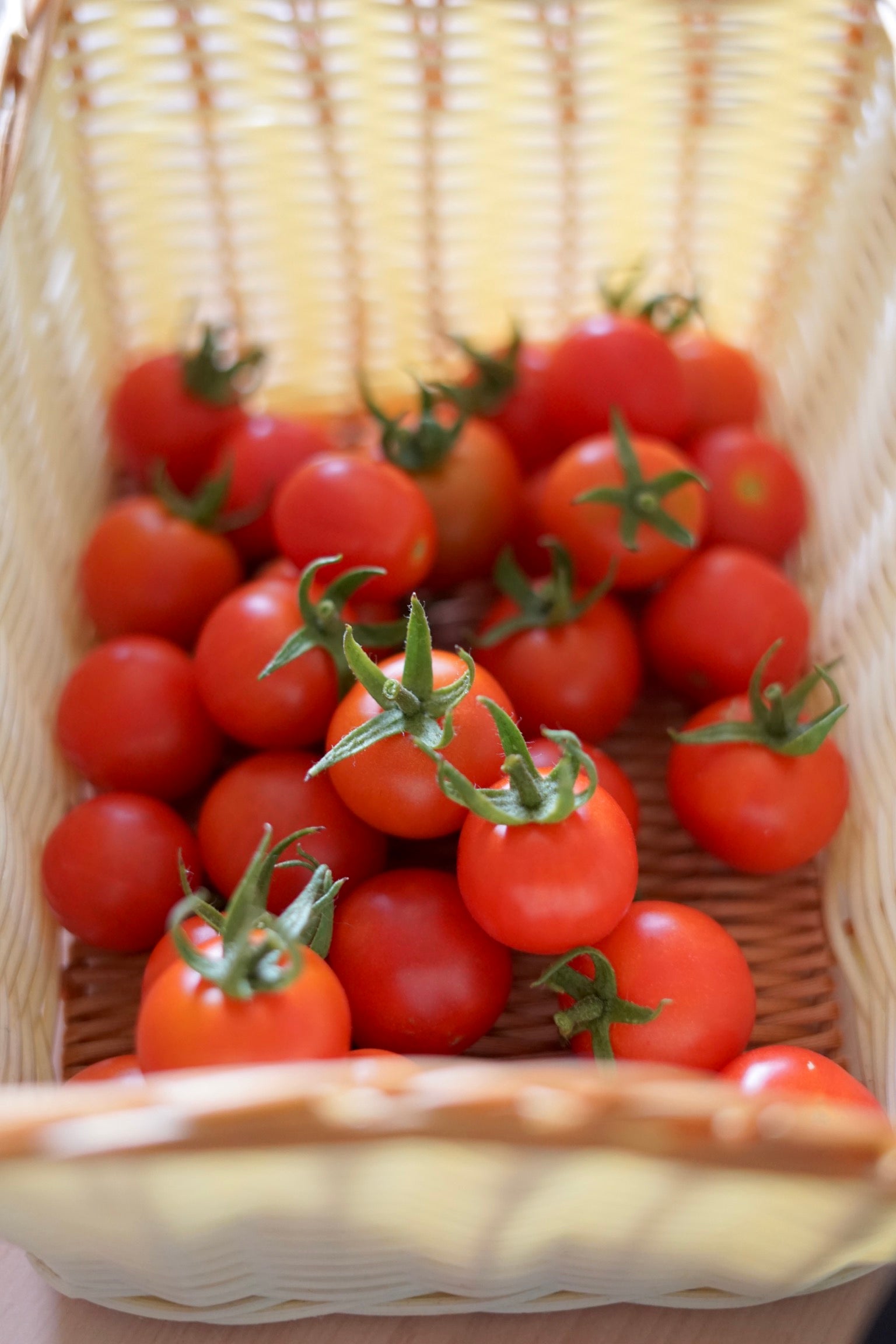 TOMATO 'Cherry Cocktail' seeds