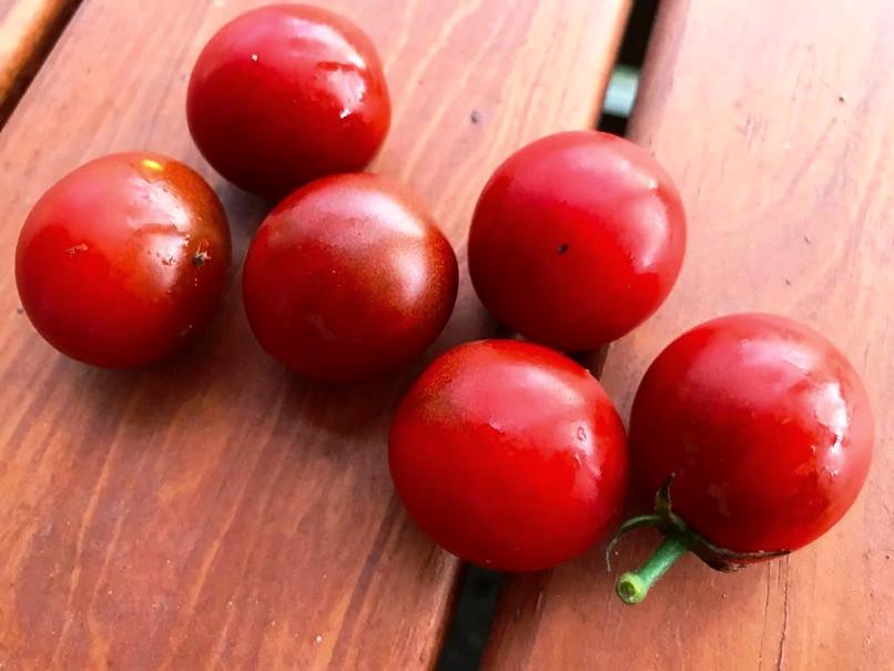 TOMATO CHERRY 'Chocolate Blush' seeds