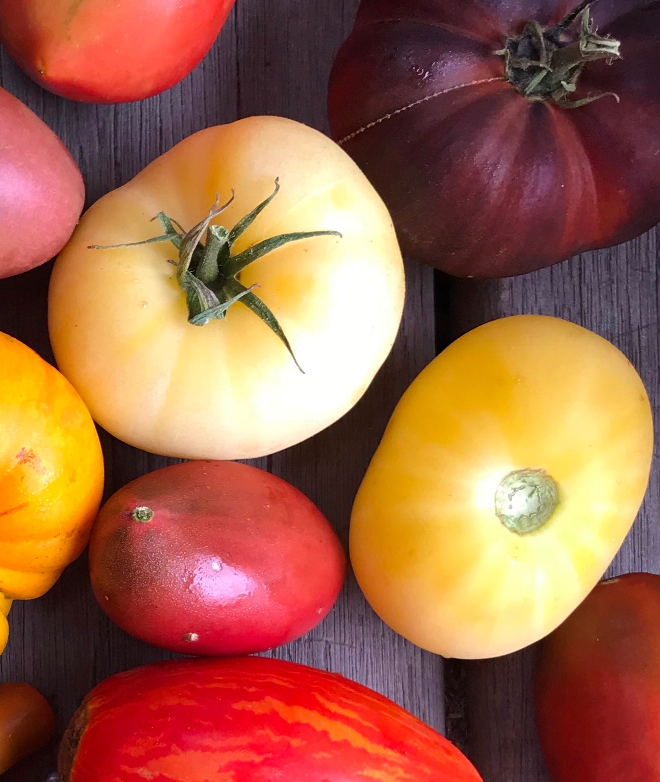 TOMATO 'White Beauty' seeds