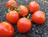 TOMATO CHERRY 'Riesentraube' seeds