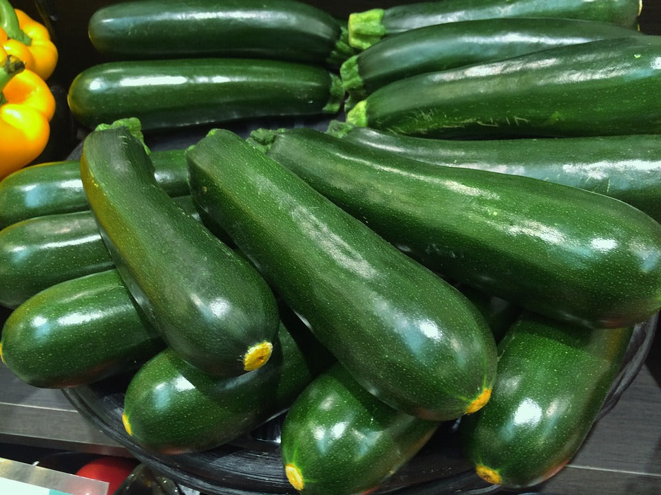 ZUCCHINI 'Black Beauty' seeds